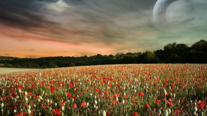 为什么拼音26键没有&uuml;?